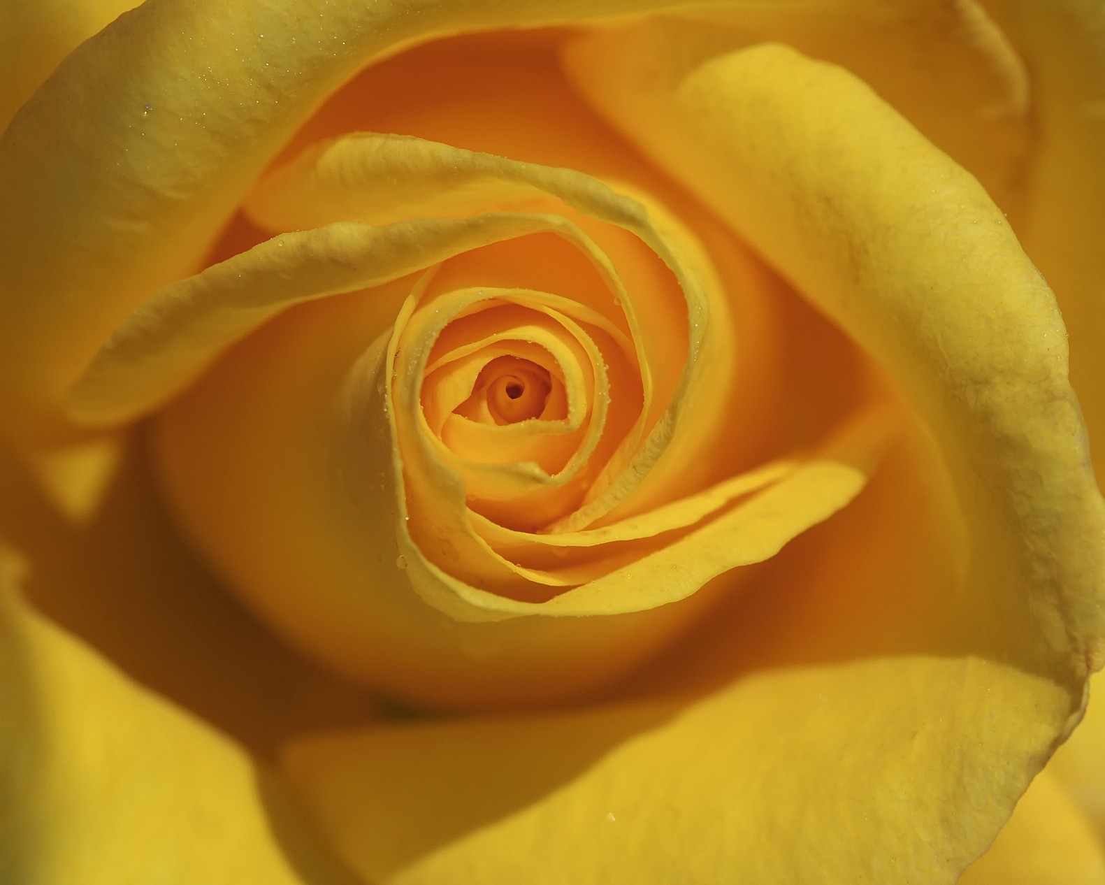 DSC_0044 - Version 2